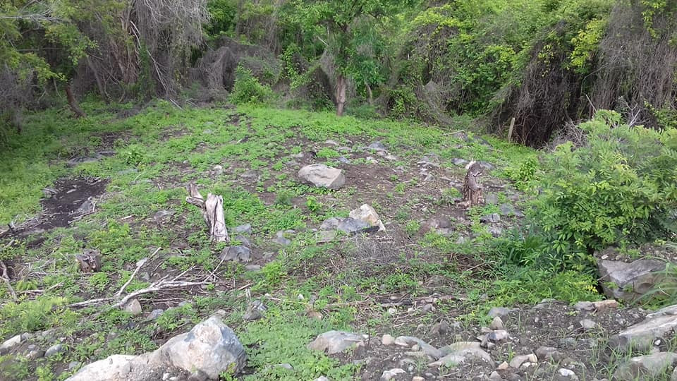 Adquiere éste excelente terreno de 550 MT2, ubicado a un costado de la CARRETERA ESCÉNICA PLAYA LA ROPA, Zihuatanejo, Guerrero, México: PROYECTO DE URBANIZACIÓN EN AVANCE!!!
LOTE 8T, MANZANA 2, ZONA 5
MEDIDAS: 40.26 X 8.27 X 39.20 X 17.20 X 2.37
CON TITULO DE PROPIEDAD, PAGOS DE CATASTRO ACTUALIZADOS.
____________________
Acquire this excellent land lot of 658 M2, located next to the PLAYA LA ROPA SCENIC ROAD, Zihuatanejo, Guerrero, Mexico: SPECTACULAR URBANIZATION PROJECT IN PROGRESS !!!
MEASUREMENTS: 40.26 X 8.27 X 39.20 X 17.20 X 2.37
WITH TITLE OF PROPERTY, UPDATED RIGHTS PAYMENTS.