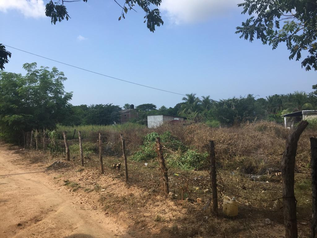 Terreno Ubicado en la comunidad de Los Achotes en el estado de Guerrero.
- TERRENO DE 34 M X 37 M (1,258 M2)
- A 15 minutos de Playa Barra de Potosí
- A 20 minutos de Zihuatanejo, Gro.
- A 25 minutos de Ixtapa, Gro.
- Acceso a todos los Servicios Públicos.
____________________
Land Lot Located in the community of Los Achotes in the state of Guerrero.
- LAND OF 34 M X 37 M (1,258 M2)
- 15 minutes from Barra de Potosí Beach
- 20 minutes from Zihuatanejo, Gro.
- 25 minutes from Ixtapa, Gro.
- Access to all Public Services.