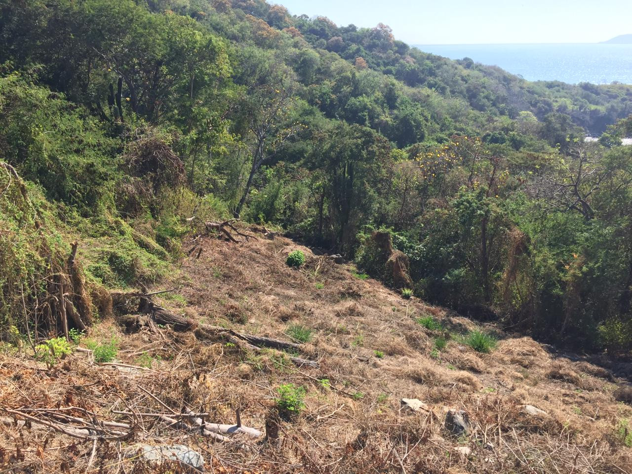 Adquiere éste excelente terreno de 658 MT2, ubicado a un costado de la CARRETERA ESCÉNICA PLAYA LA ROPA, Zihuatanejo, Guerrero, México: PROYECTO DE URBANIZACIÓN EN AVANCE!!!
LOTE 23, MANZANA 5, ZONA 5
MEDIDAS: 44.74 X 8.87 X 37.36 X 24.66
____________________
Acquire this excellent land lot of 658 M2, located next to the PLAYA LA ROPA SCENIC ROAD, Zihuatanejo, Guerrero, Mexico: SPECTACULAR URBANIZATION PROJECT IN PROGRESS !!!
MEASUREMENTS: 44.74 X 8.87 X 37.36 X 24.66