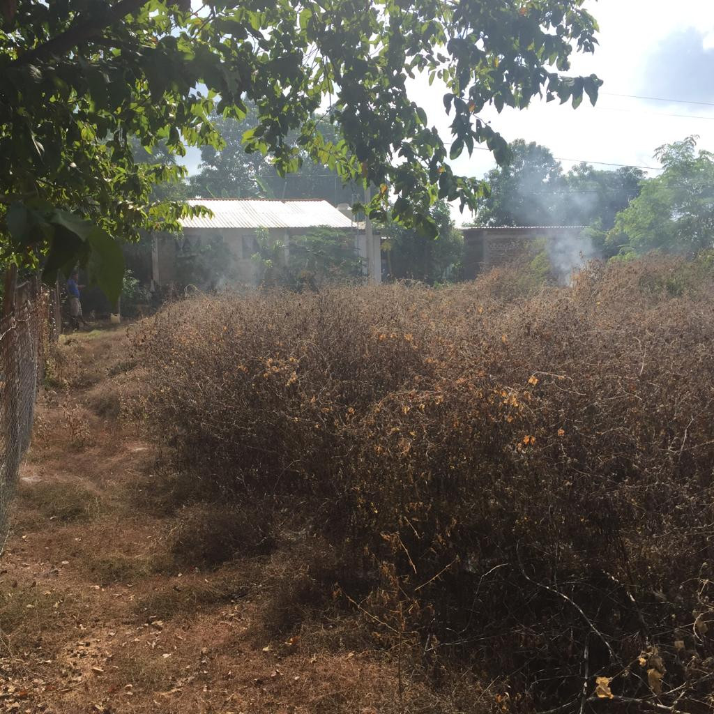 Terreno Ubicado en la comunidad de Los Achotes en el estado de Guerrero.
- TERRENO DE 34 M X 37 M (1,258 M2)
- A 15 minutos de Playa Barra de Potosí
- A 20 minutos de Zihuatanejo, Gro.
- A 25 minutos de Ixtapa, Gro.
- Acceso a todos los Servicios Públicos.
____________________
Land Lot Located in the community of Los Achotes in the state of Guerrero.
- LAND OF 34 M X 37 M (1,258 M2)
- 15 minutes from Barra de Potosí Beach
- 20 minutes from Zihuatanejo, Gro.
- 25 minutes from Ixtapa, Gro.
- Access to all Public Services.