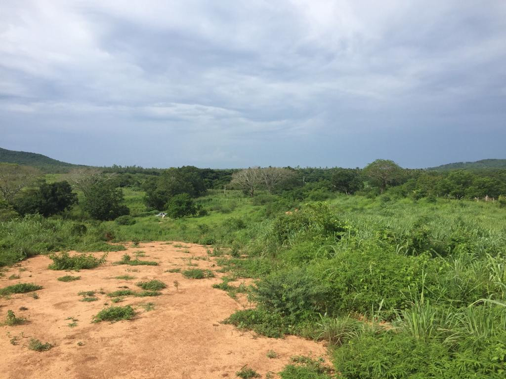 TERRENOS CON EXCELENTE UBICACIÓN A SOLO 5 MINUTOS CAMINO A PLAYA LARGA!!!
LOTES DE 200 M2:
LOTE #8 LOTE #9
PRECIO: $350,000.00 MXN PRECIO: $300,000.00 MXN
- SE ENTREGA CON POZO DE AGUA - LUZ BIFÁSICA
LOTE #10 LOTE #11
PRECIO: $300,000.00 MXN PRECIO: $300,000.00 MXN
- LUZ BIFÁSICA - LUZ BIFÁSICA
GRAN OPORTUNIDAD PARA INVERTIR Y CREAR TU PATRIMONIO!!!
TRATO SERIO
____________________
LAND WITH EXCELLENT LOCATION ONLY 5 MINUTES ROAD TO PLAYA LARGA!!!
LAND LOTS OF 200 M2:
LOT # 8 LOT # 9
PRICE: $ 350,000.00 MXN PRICE: $ 300,000.00 MXN
- DELIVERED WITH WATER WELL - Biphasic light
LOT # 10 LOT # 11
PRICE: $ 300,000.00 MXN PRICE: $ 300,000.00 MXN
- Biphasic light - Biphasic light
GREAT OPPORTUNITY TO INVEST AND CREATE YOUR HERITAGE!!!
SERIOUS TREATMENT