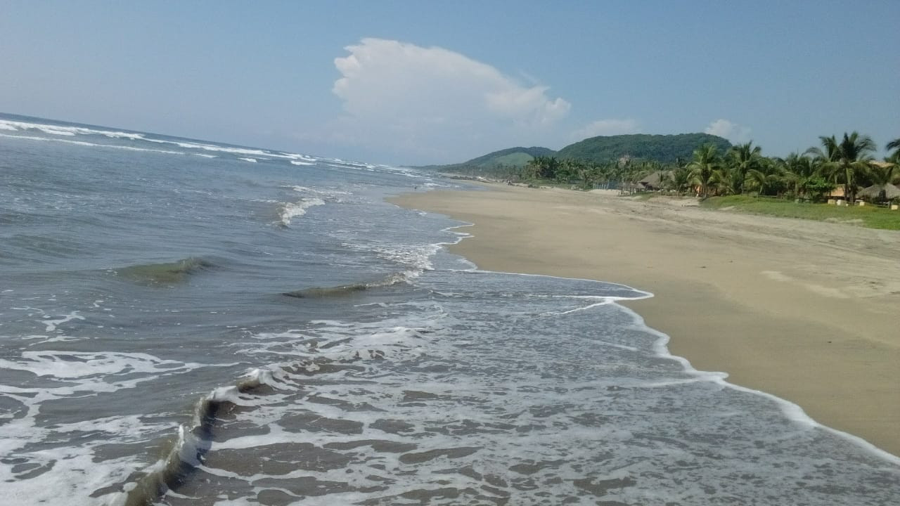 !!!Agradable y Cómodo Hotel Familiar Ubicado en las Costas de Guerrero, en Playa Troncones, ¡¡¡a solo 300 metros del mar y de los pescados y mariscos más frescos de la región!!!
~ A 20 Minutos de la Zona Hotelera de Ixtapa Zihuatanejo, Gro.
~ A 30 Minutos de Zihuatanejo, Gro.
~ A 40 Minutos del Aeropuerto Internacional de Zihuatanejo, Gro.
~ 15 Cómodas Habitaciones: Sencillas, Dobles Triples y Cuádruples
____________________
Nice and Comfortable Family Hotel Located on the Coasts of Guerrero, in Troncones Beach, just 300 meters from the sea and the freshest seafood in the region!
~ 20 Minutes from the Hotel Zone of Ixtapa Zihuatanejo, Gro.
~ 30 Minutes from Zihuatanejo, Gro.
~ 40 Minutes from Zihuatanejo International Airport, Gro.
~ 15 Comfortable Rooms: Single, Double Triple and Quadruple