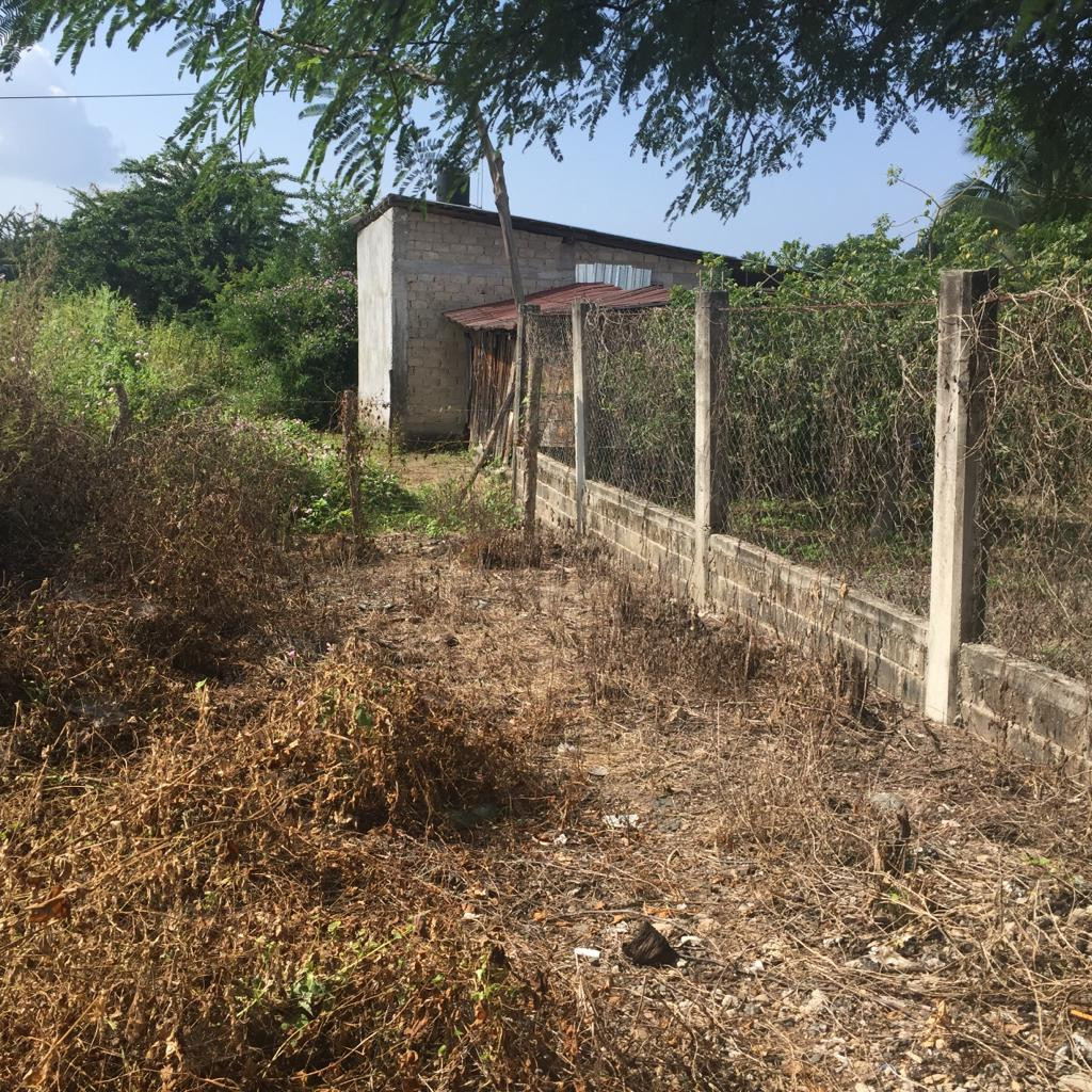 Terreno Ubicado en la comunidad de Los Achotes en el estado de Guerrero.
- TERRENO DE 34 M X 37 M (1,258 M2)
- A 15 minutos de Playa Barra de Potosí
- A 20 minutos de Zihuatanejo, Gro.
- A 25 minutos de Ixtapa, Gro.
- Acceso a todos los Servicios Públicos.
____________________
Land Lot Located in the community of Los Achotes in the state of Guerrero.
- LAND OF 34 M X 37 M (1,258 M2)
- 15 minutes from Barra de Potosí Beach
- 20 minutes from Zihuatanejo, Gro.
- 25 minutes from Ixtapa, Gro.
- Access to all Public Services.