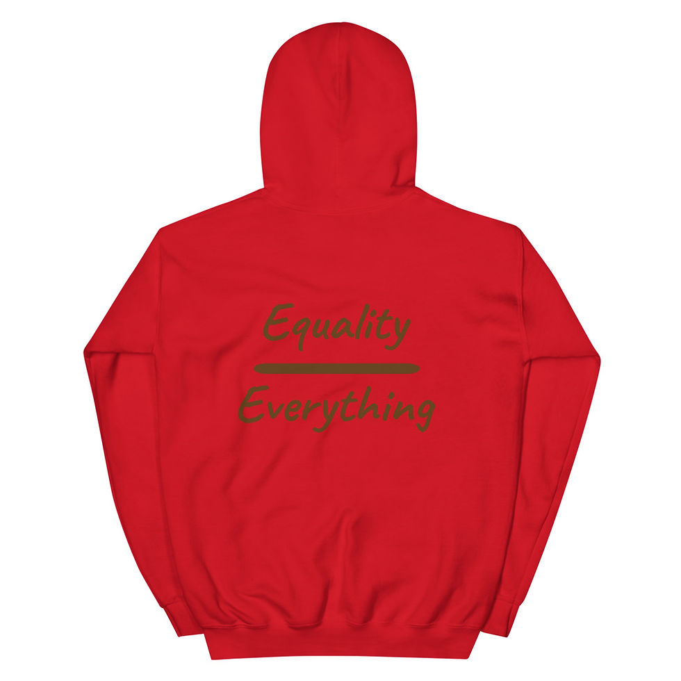 Thumbnail: DSMD Hoodie - Equality Over Everything