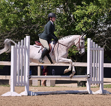 Leah Straumins & MGS Lunar Eclipse (Half Arabian)