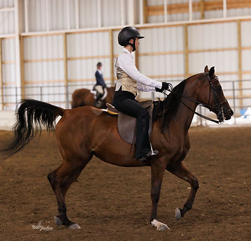 Kierra Bonney & MGS Calipso Arabian Year End High Point (1).jpg