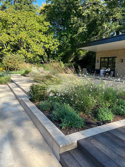 244fff4d-bb3b-4d10-8690-95df8f140414