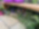 239529356_866191194301730_8941086130682641950_n.jpg