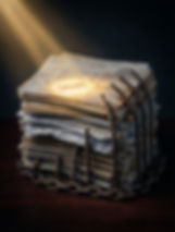 Generated Image January 22, 2026 - 4_01PM.jpeg