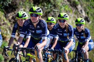 Spring Classics are HERE!