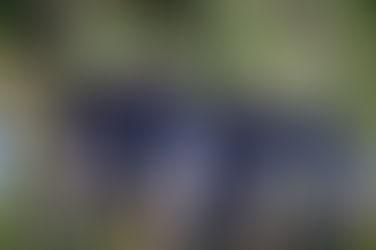 Spring Classics are HERE!