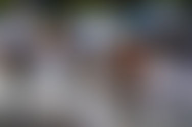 Cadel Evans Great Ocean Road Race