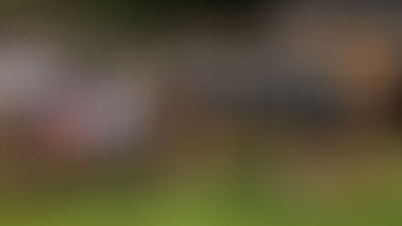 North American Results Recap: 11 Podiums, 8 Victories for Team TIBCO - Silicon Valley Bank