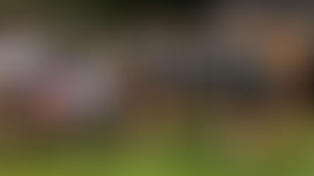 North American Results Recap: 11 Podiums, 8 Victories for Team TIBCO - Silicon Valley Bank