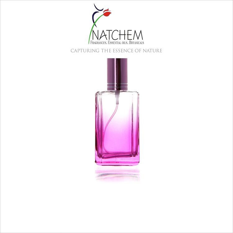 Thumbnail: DON / PROTEA BOTTLE 