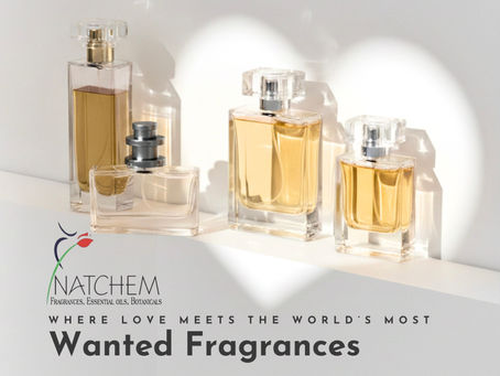 The Language of Fragrance