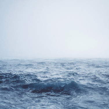 untitled image