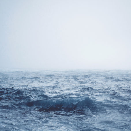 World Oceans Day.