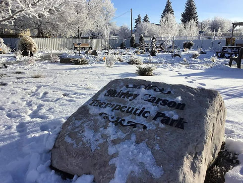 Therapeutic Park in the Winter