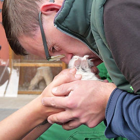 Robin met babykonijn (2).jpg