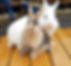 20210519_143433.jpg