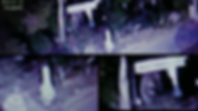 WIX 「香取神社の狛犬」 2014(1).png