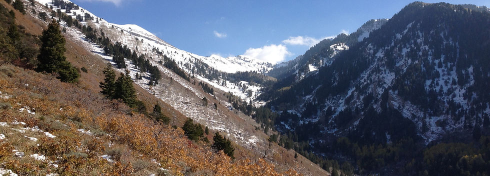Rocky_Basin.JPG