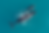 ree
