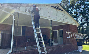 carpentry repair and handyman aldo painting and more