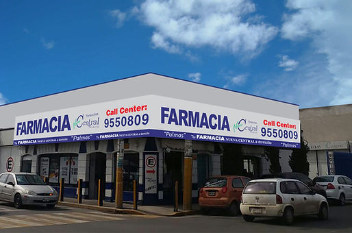 PALMAS1.jpg