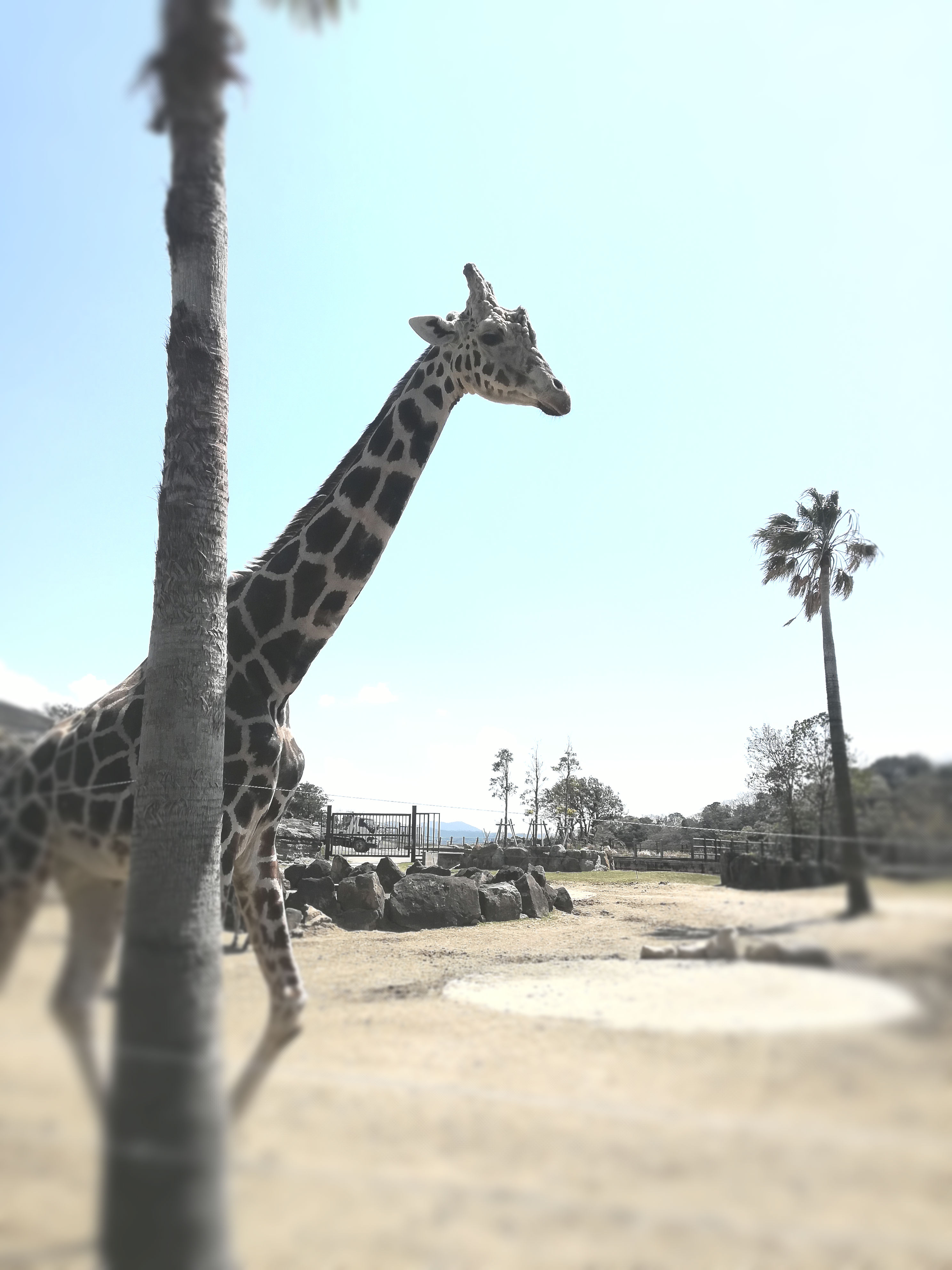 執筆者の写真: Sogabe