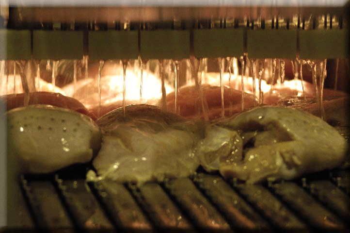 Meat-Injector.gif