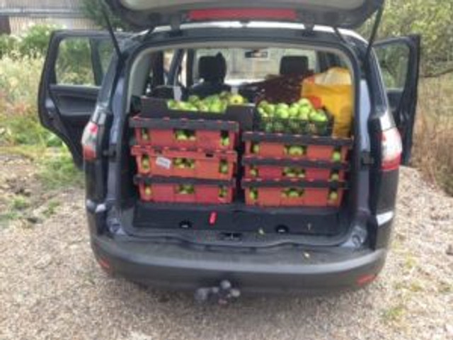 car-apples
