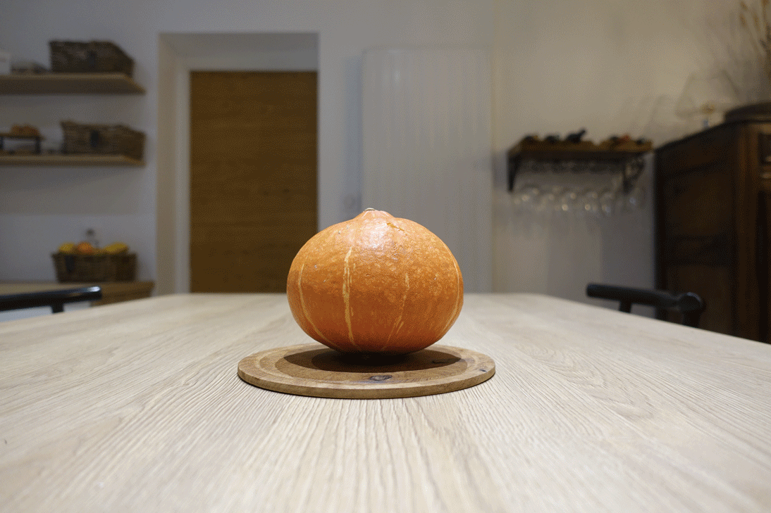 Semer et planter le potimarron : quand et comment ?