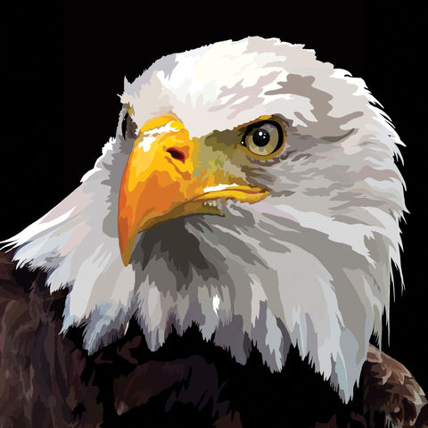 Bald_Eagle_Black_rgb.jpg