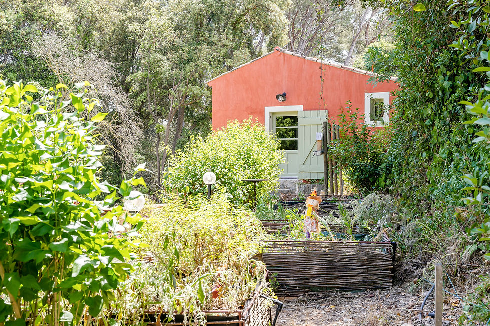 buissonniere vue du potager