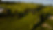 DJI_0438.jpg