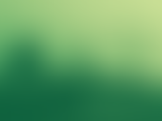 Cannabis Club Erfurt – lokal, sicher & transparent