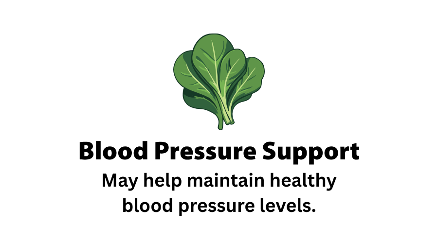 Blood Pressure Support.png