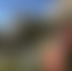 Vackra Nerja med blommor berg och hus