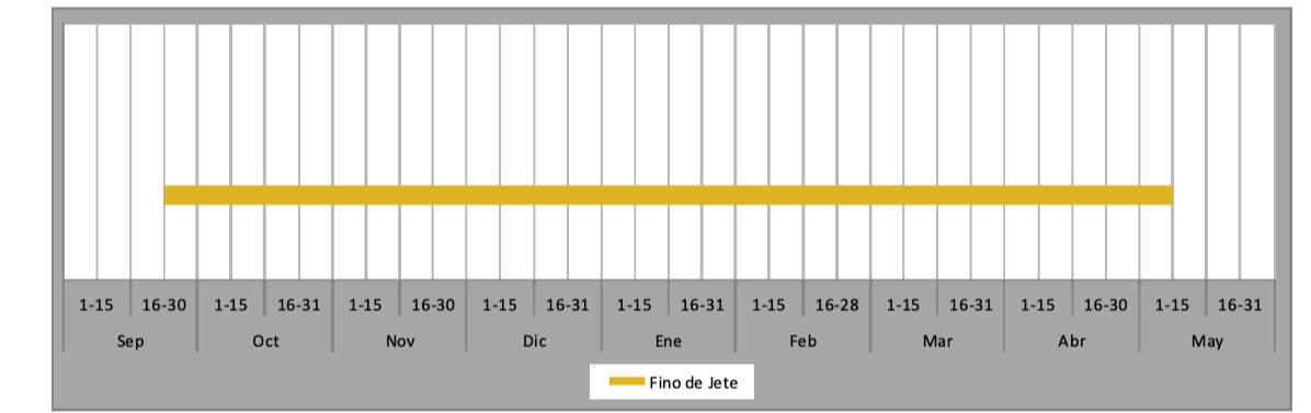 Chirimoya skördesäsong Nerja