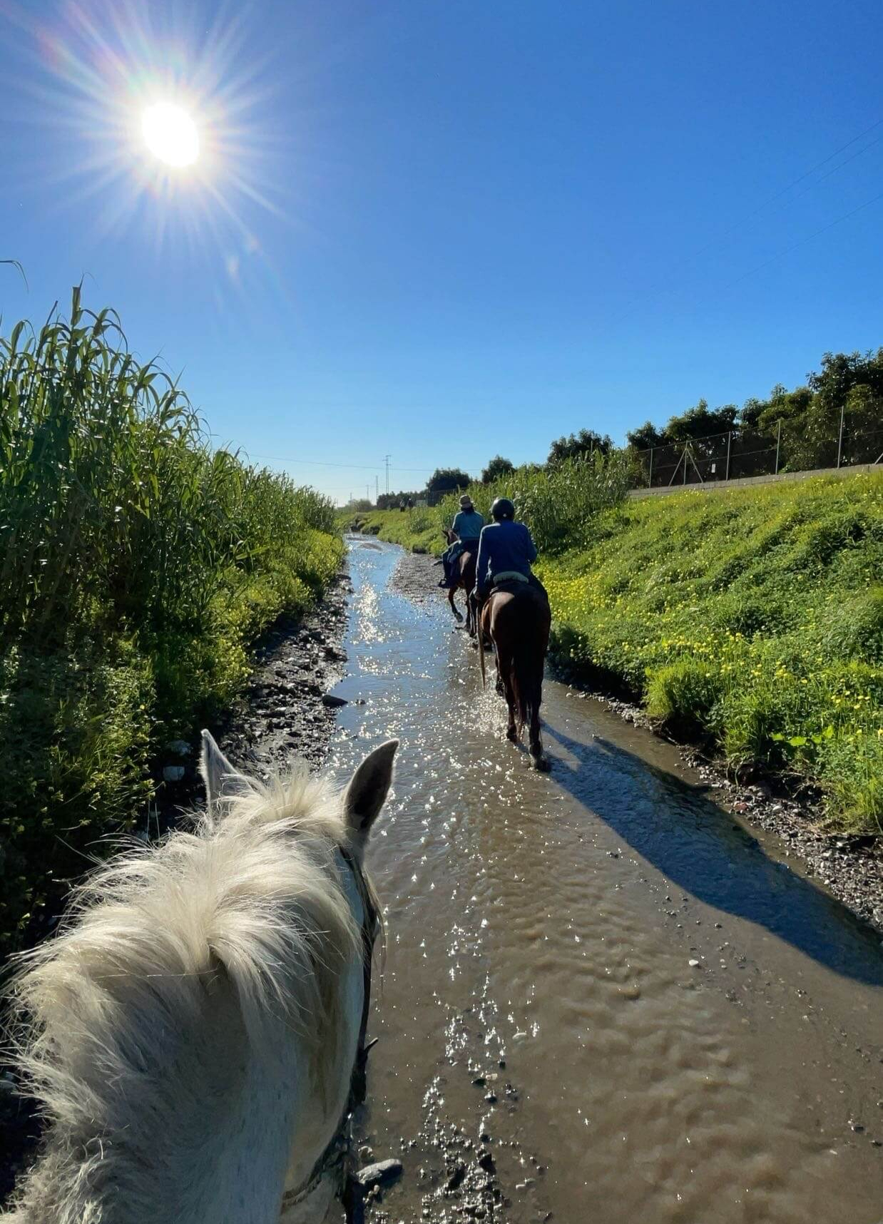 Ándale Riding Center Melody rider på Esmeralda