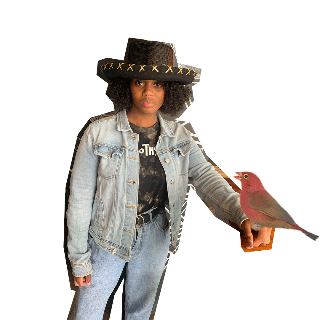 bird.gif