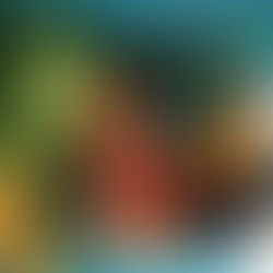 Os sistemas alimentares no centro da crise climática e a transição nutricional como medida de adaptação