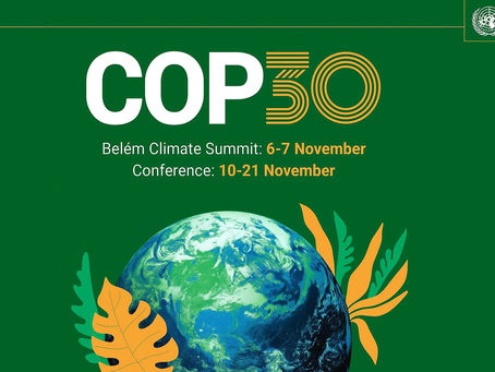 Brazil and COP30: Calling time on deforestation or agribusinesses as usual?