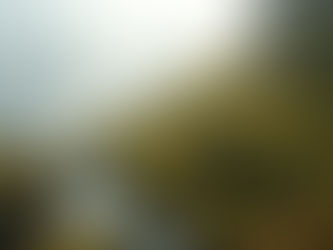 A rocky stream meandering down a lush hillside under warm sunlight