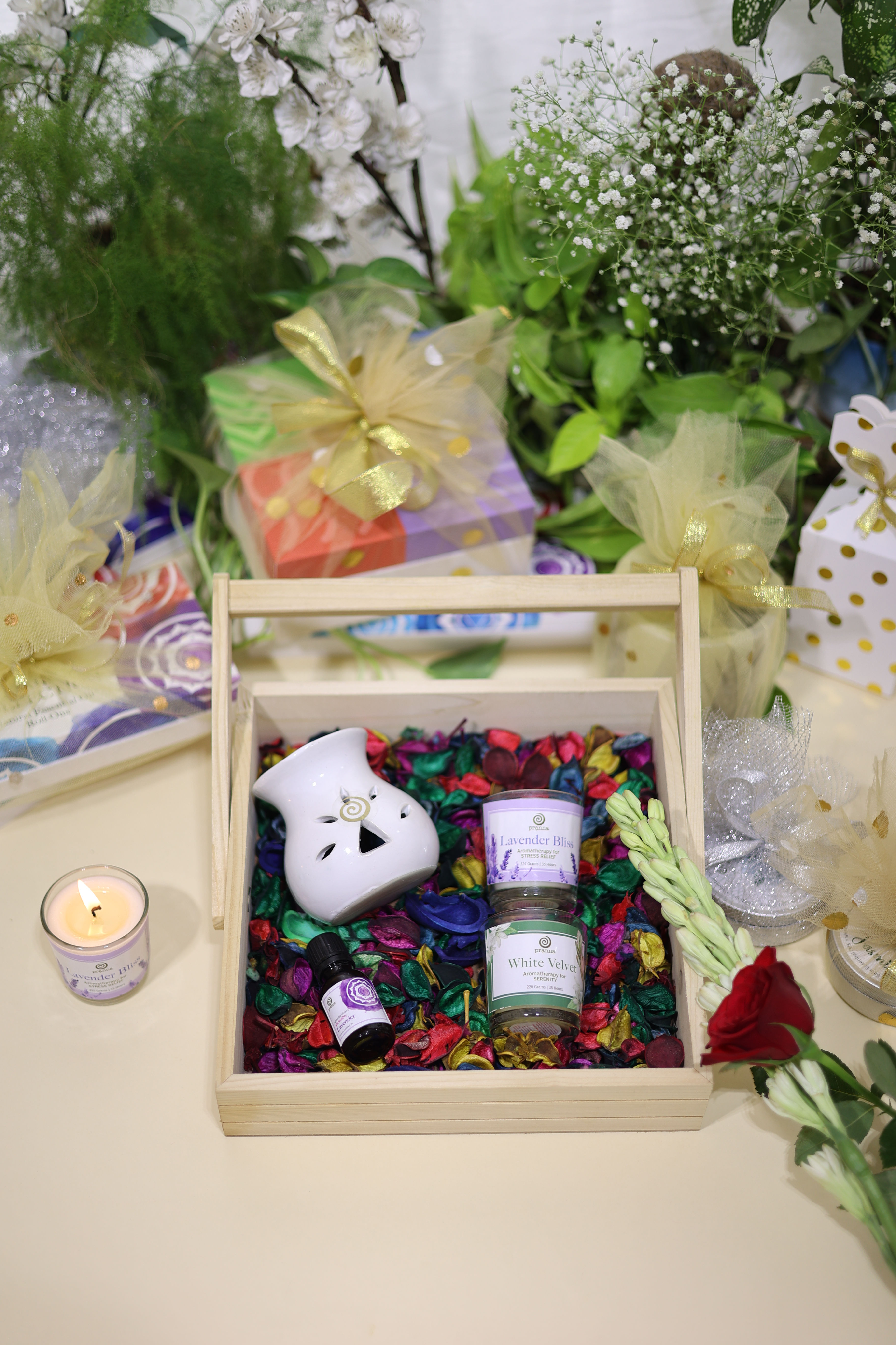 Bloom & Breathe Collection