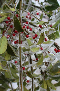 2d1a38_94c24223d8ba4526b3d8e4e40f350c43