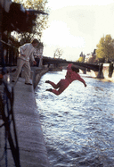 2-picture2.gif
