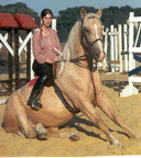 1-picture9.gif